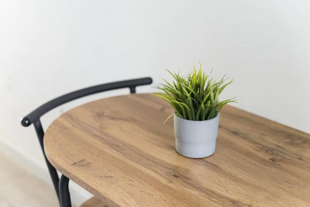 Opo - Fantastic Studio With Garden OOporto Exteriör bild